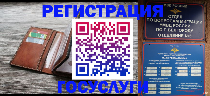 временная регистрация гарантия в Шумихе